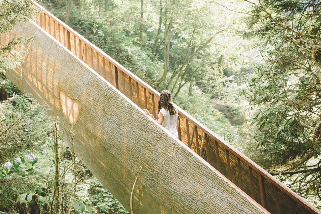 J9A1106 1024x683 - BLOG