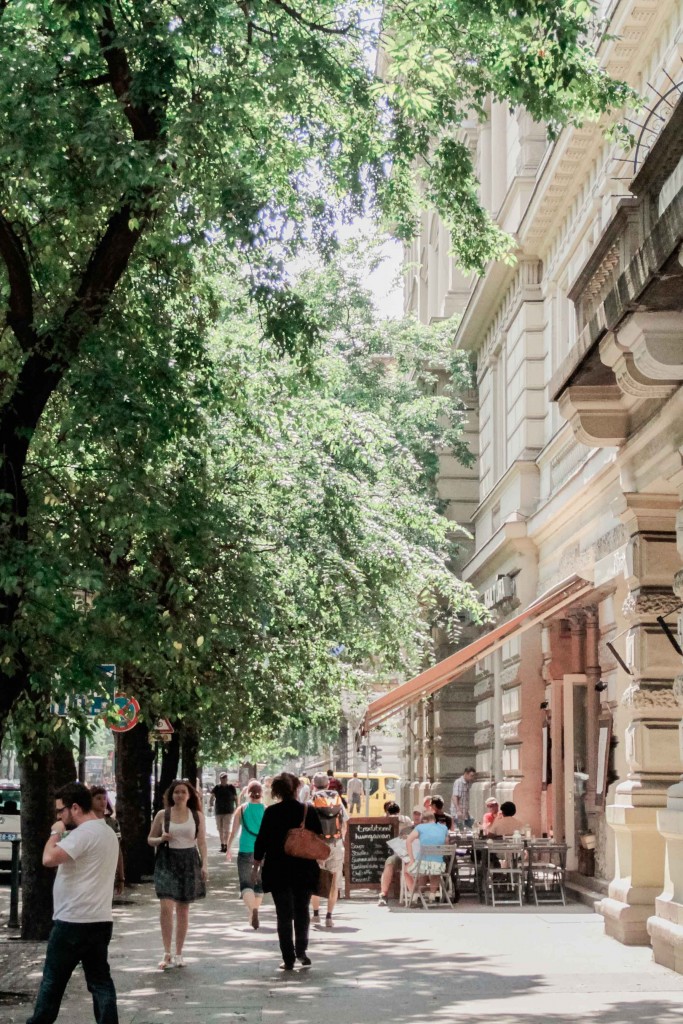 budapest street 683x1024 - BLOG