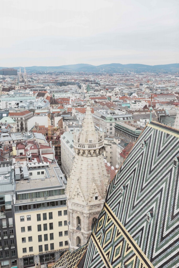 vienna 10 683x1024 - BLOG